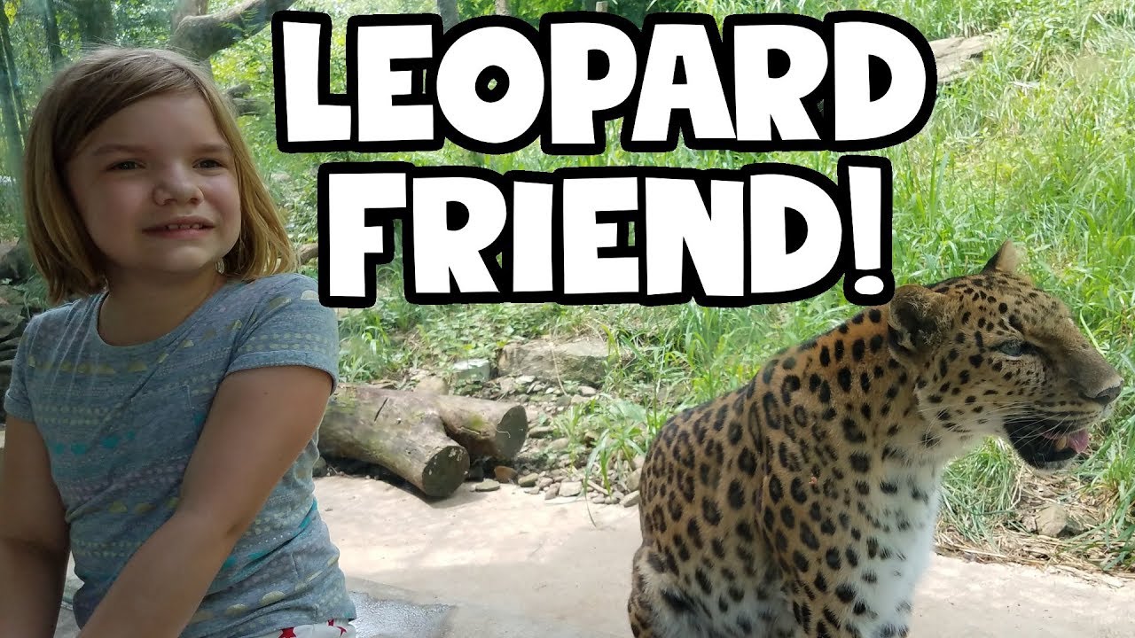Leopard Friend! Up close with the big wild cat!