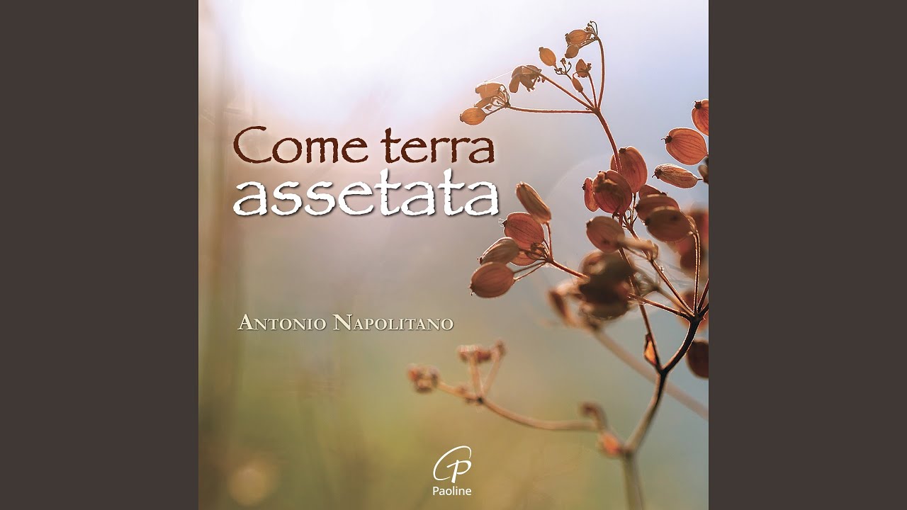 Come terra assetata