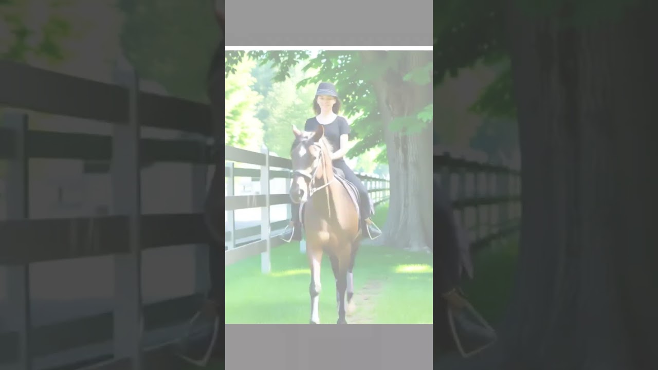 On the back of a horse