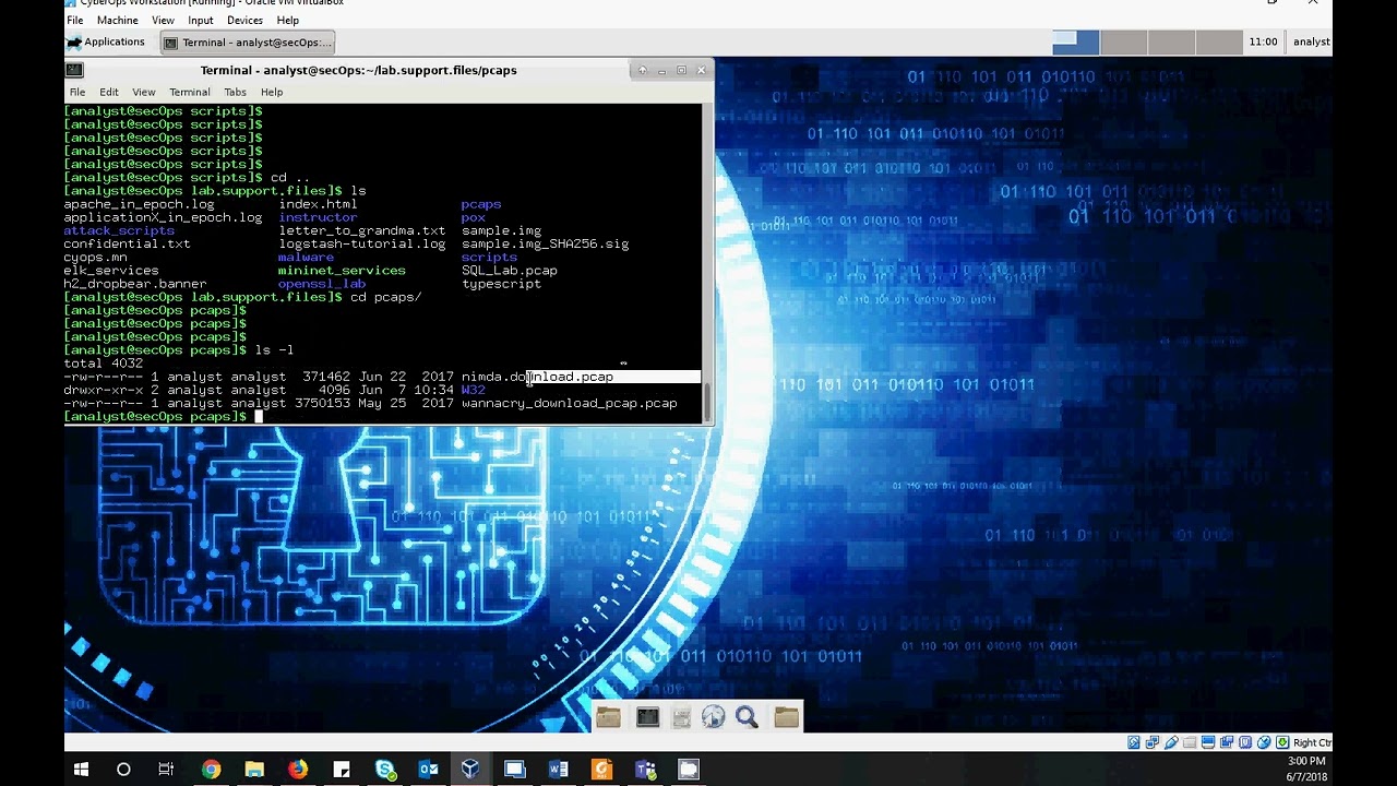 Convert Data into Universal Format _CyberOps lab 12 2 2 10