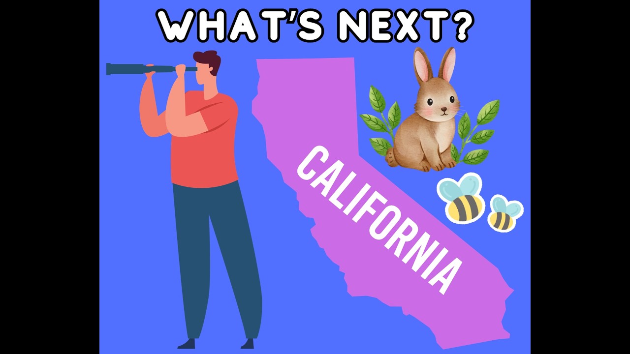 California Weather: Feb 25th What's Next?