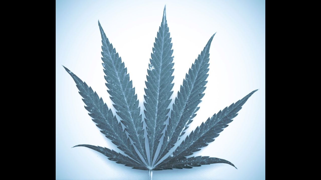 Dismissal of Marijuana Charge Through Medical Marijuana Card? California Defense Lawyer Explains