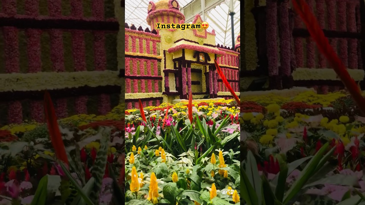 😍Instagram x Reality🤣 version of Lalbagh Flower Show #viral #reality #humor #reality #travel