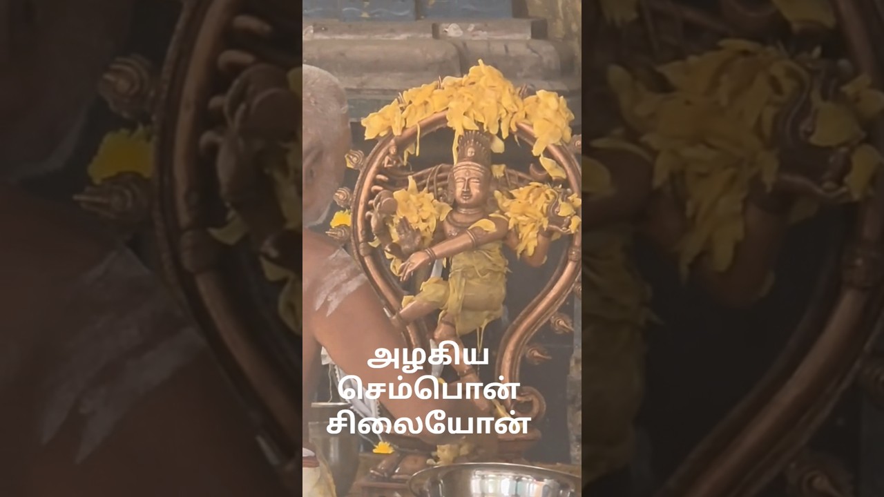 Watch the amazing video till the end #Nataraja #Lord #ThillaiNataraja #Chidambaram #Natarajarpathu
