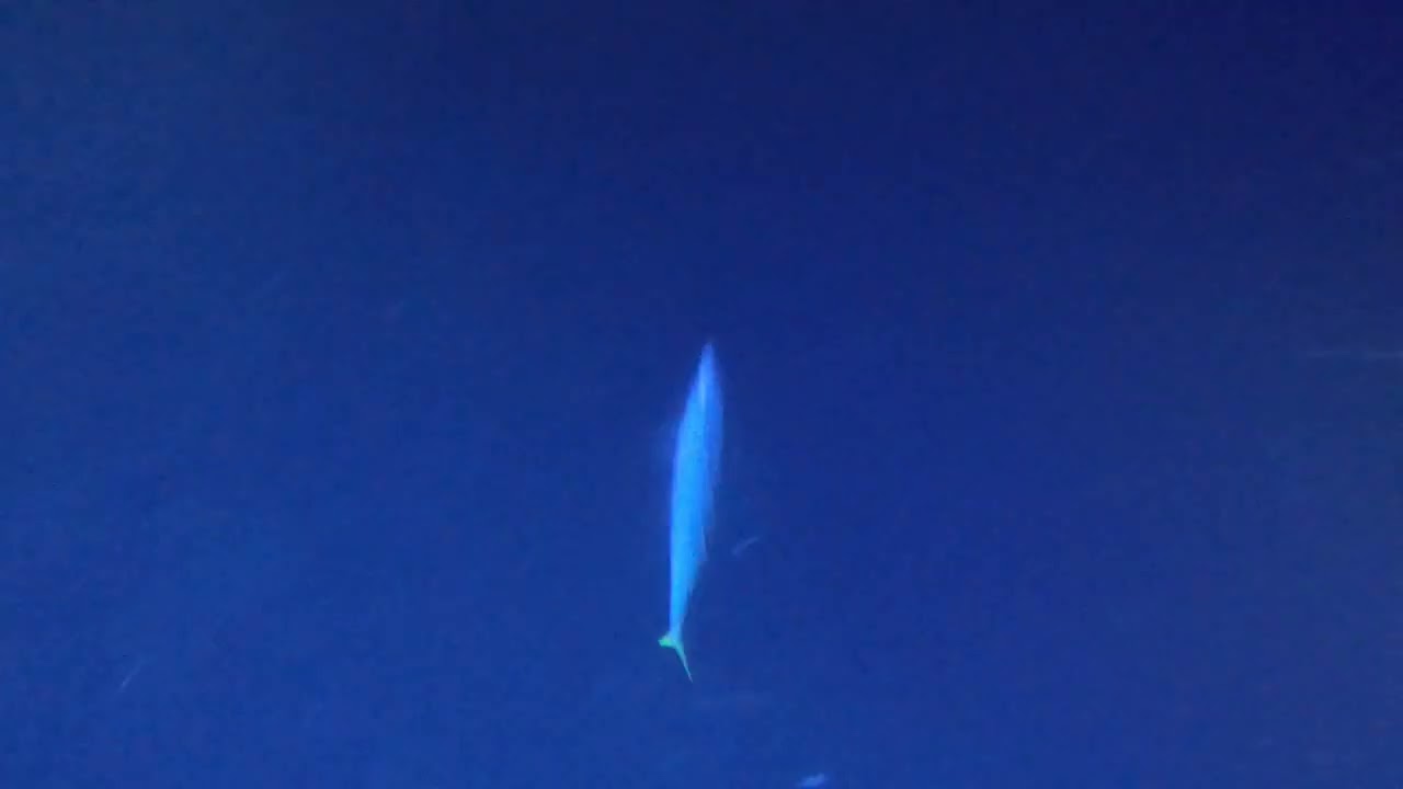 GH014382
