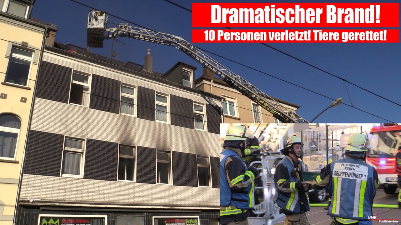 [DRAMATISCHER BRAND!] Feuerwehr rettet Menschen und Tiere aus brennendem Haus! 10 Personen verletzt!