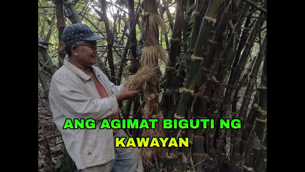 TOTOO BANG MAY KAPANGYARIHAN ANG BIGOTE NG KAWAYAN