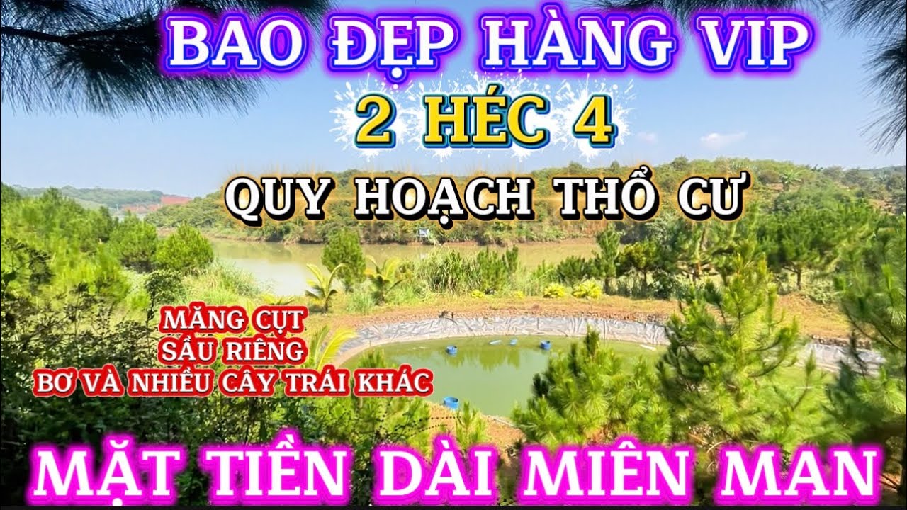 Đẹp Không Tỳ Vết- Vườn Cây Trái View Sông ( Tân Lạc Bảo Lâm) Lâm Đồng