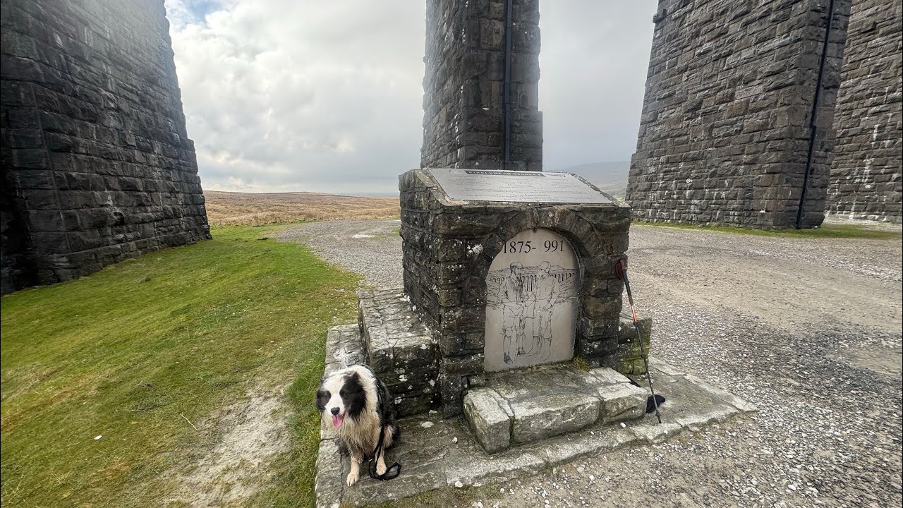 Franky climbs Whernside Peak ![The Yorkshire Dales)2 February 2026