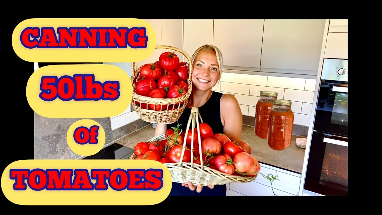 Canning/Preserving 50lbs of tomatoes!! Allotment | UK | Organic Gardening | No Dig | Permaculture