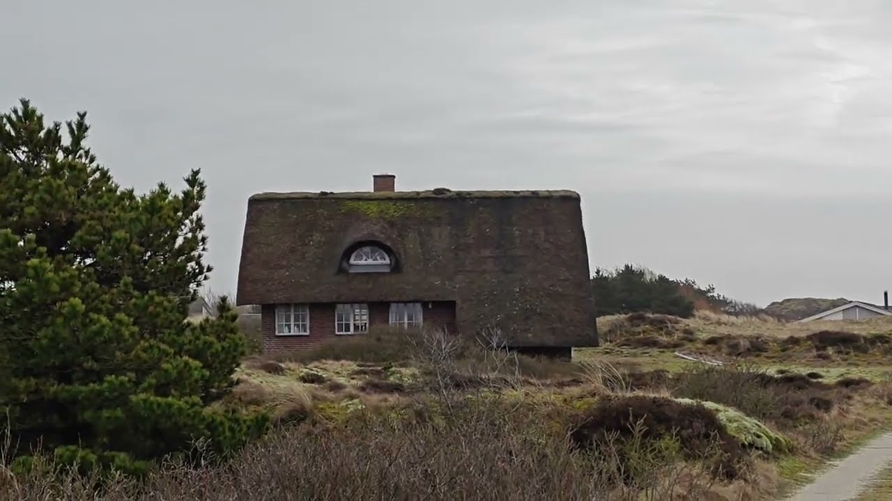 Tranquil Early Spring Scenes on Fanø Island, Denmark 🌿🌼