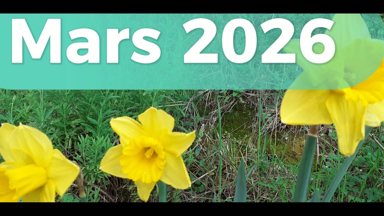 MARS 2026