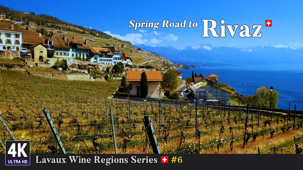 Lavaux Vineyards Switzerland 🇨🇭 Ep#6 - Scenic Spring Road Trip from Châtelard Lutry to Rivaz, Vaud