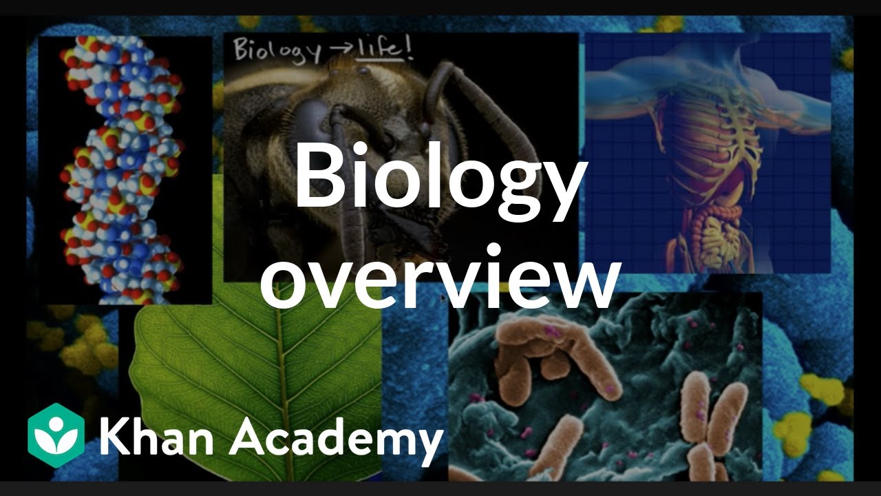 Biology overview
