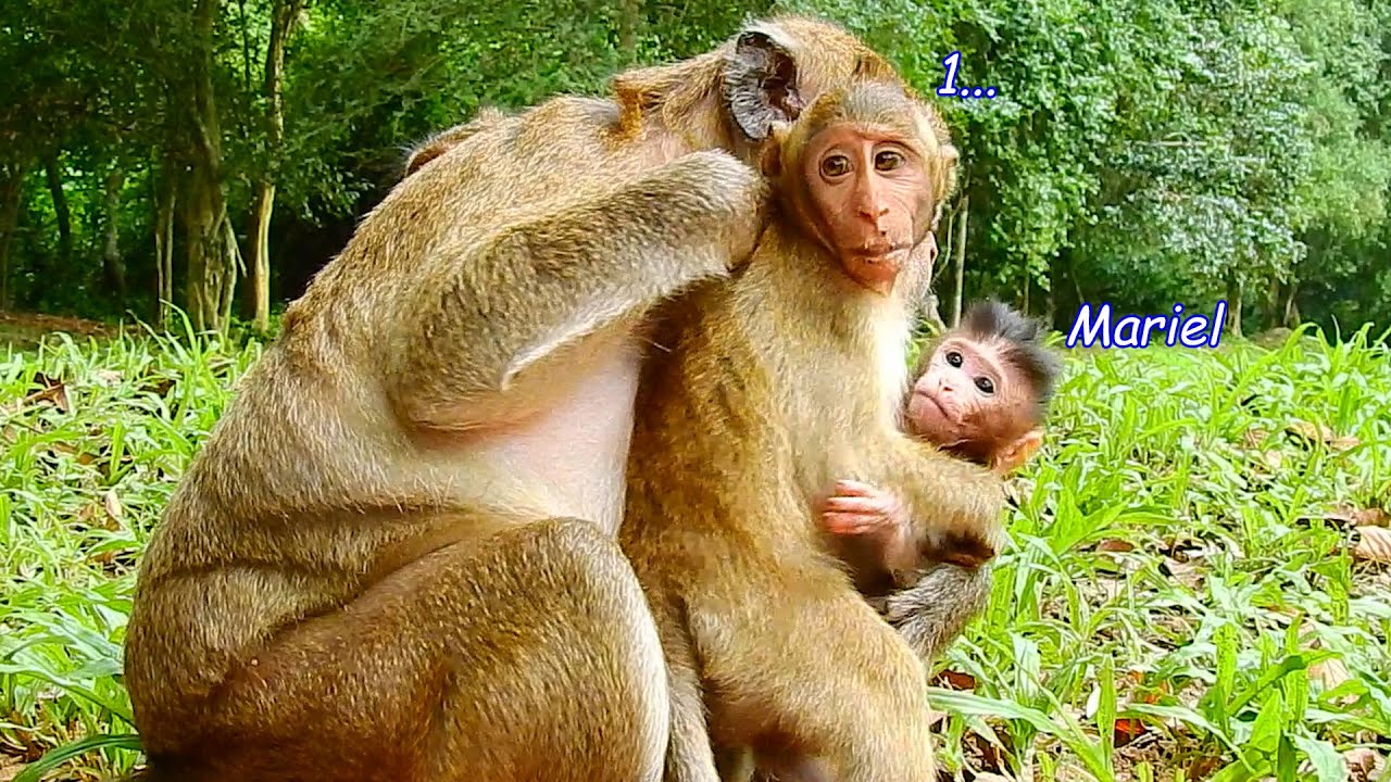 Marria Worry To Much When Mia Carry Small Girl Mariel