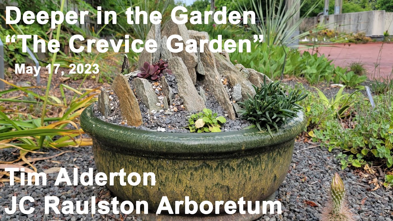 Deeper in the Garden - 
