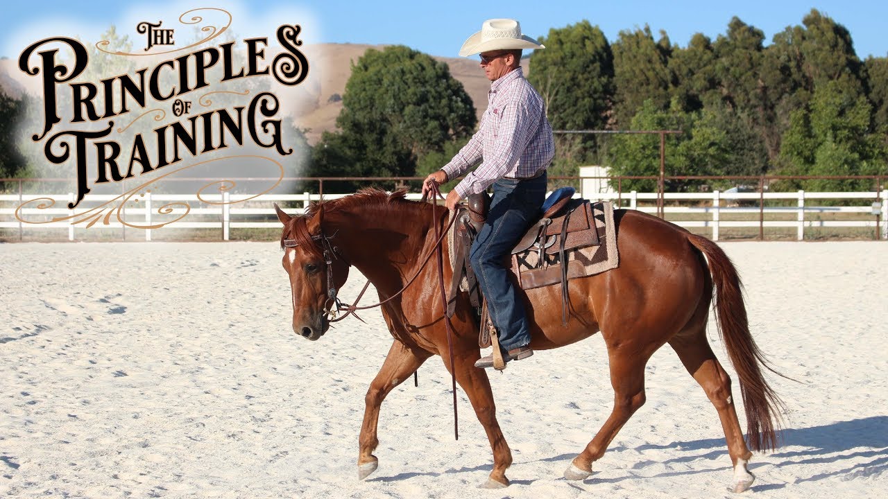 The Principles of Training Season 1 Episode 3: 