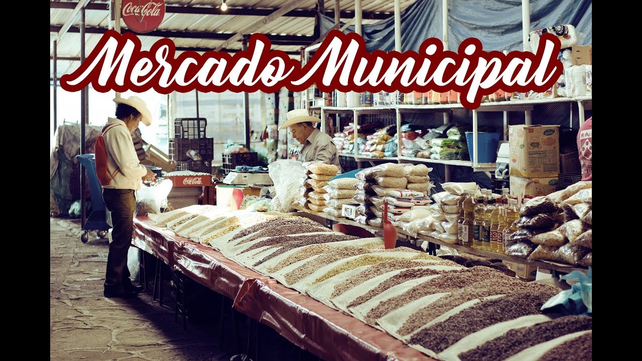 Mercado Municipal de Temascalcingo