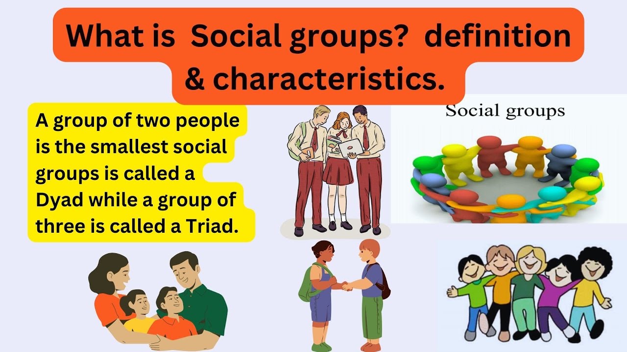 What is a Social Group?  definition, &  Characteristics