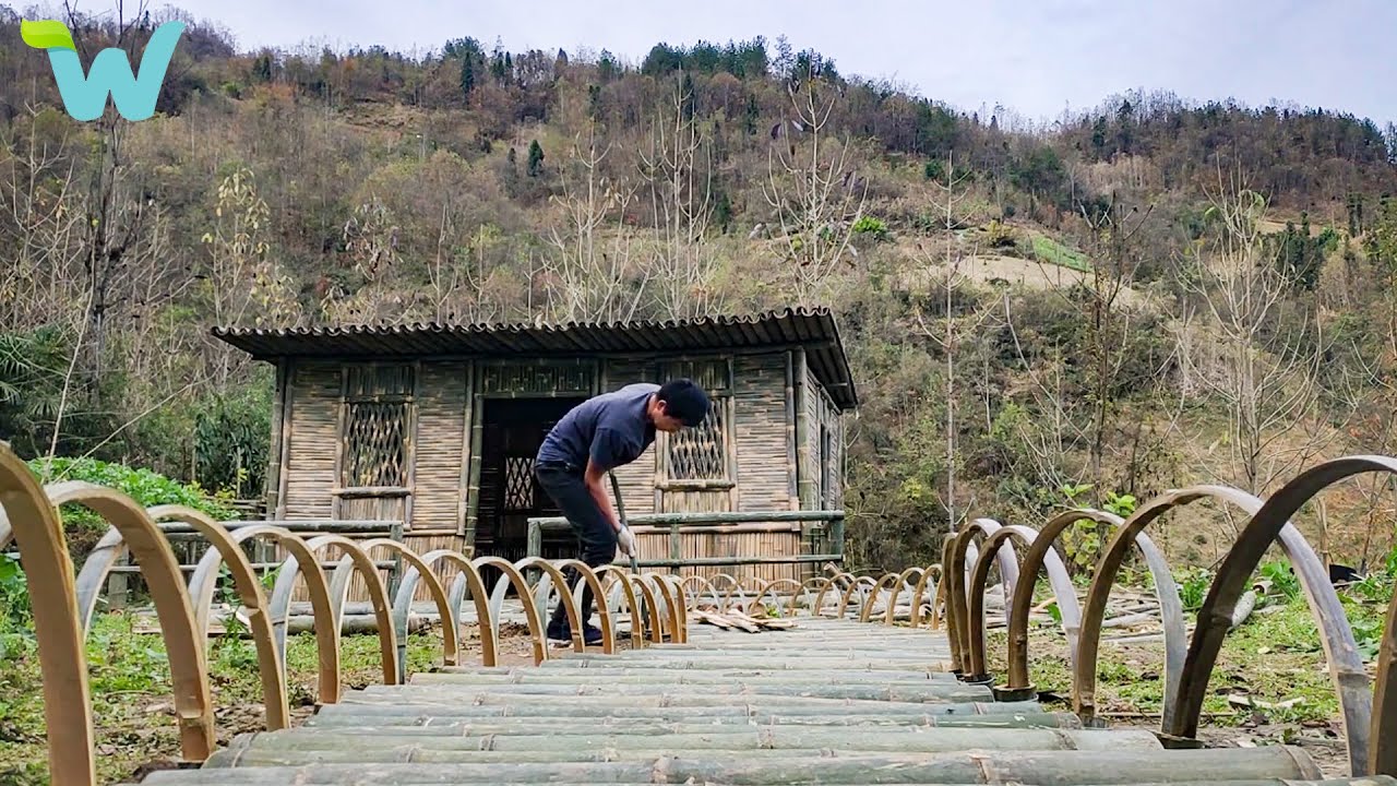 The man left the city to go to the mountainous areas to build a bamboo house and renovate the garden