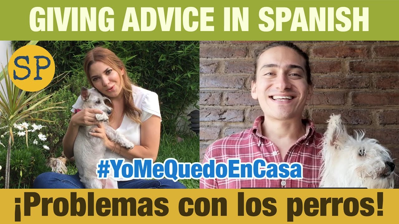 Giving Advice in Spanish | Problems with Dogs | Dar consejos