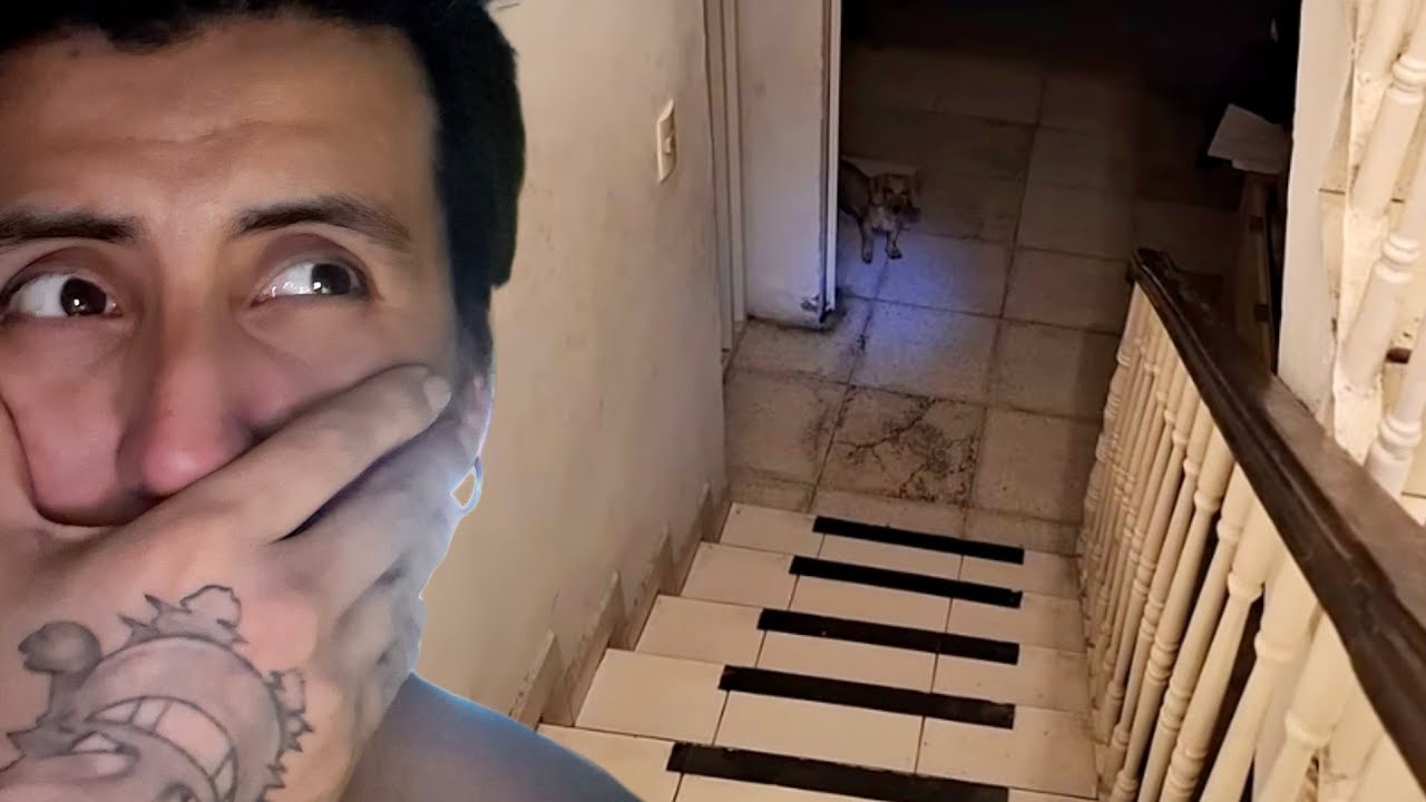 Que Esta Pasando Ahora? Mis Perros Actúan Cada Vez Más Raro...
