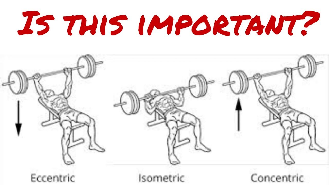 How to use Eccentric, Concentric, Isometric Exercise - What that means - Muscle Force Production