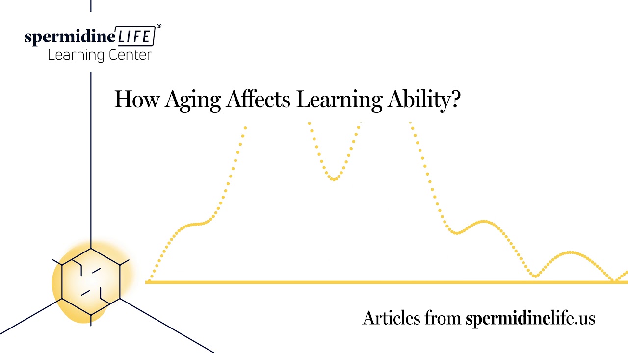 How Aging Affects Learning Ability | The Relationship Between Aging and Learning |