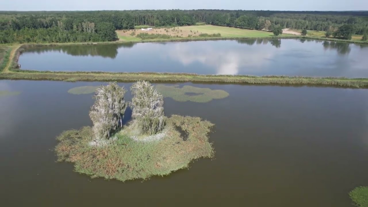Piękne Miejsca. Stawy Grzegorzewice. Atrakcja. Wędkarstwo. Dron.