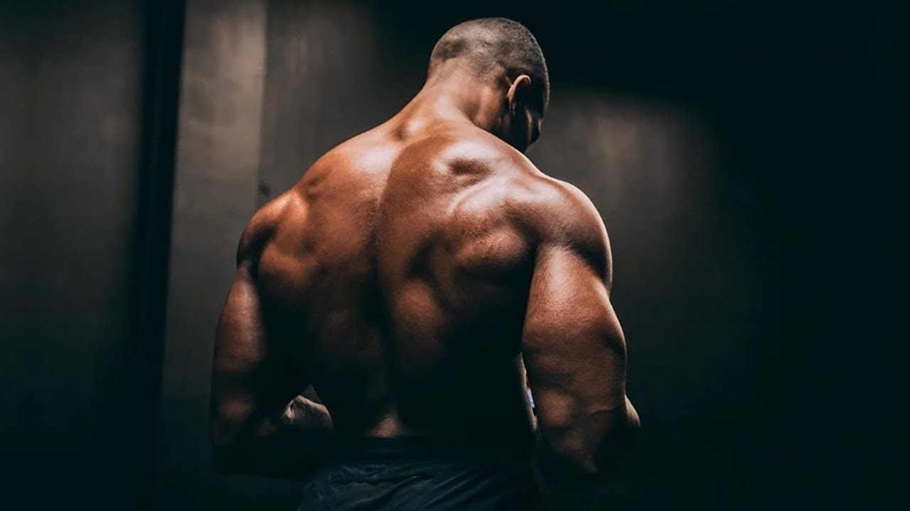 M&uacute;sica Electr&oacute;nica 2020 👊 Brutal Entrenamiento en el Gym 🤜 Motivaci&oacute;n Masculina