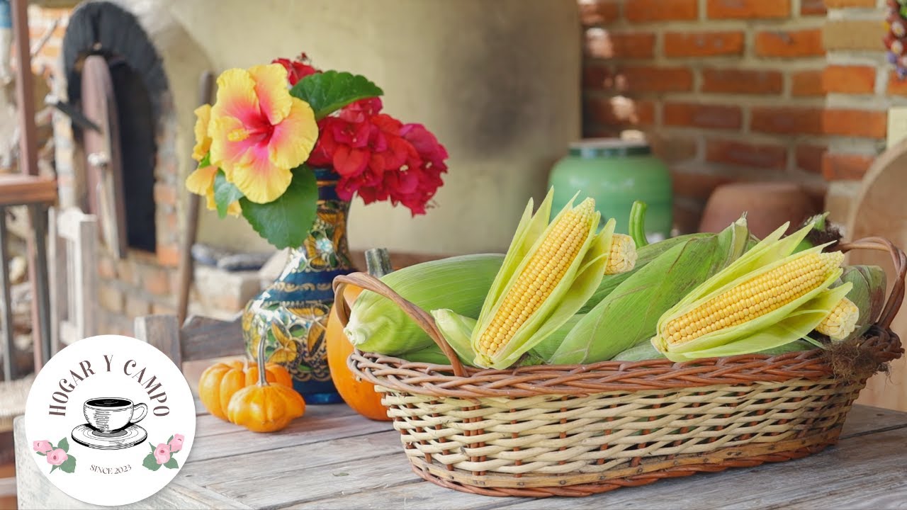 Cortando elotes🌽 de nuestro huerto | Comida sencilla en el campo | Flan de elote sin horno🌿