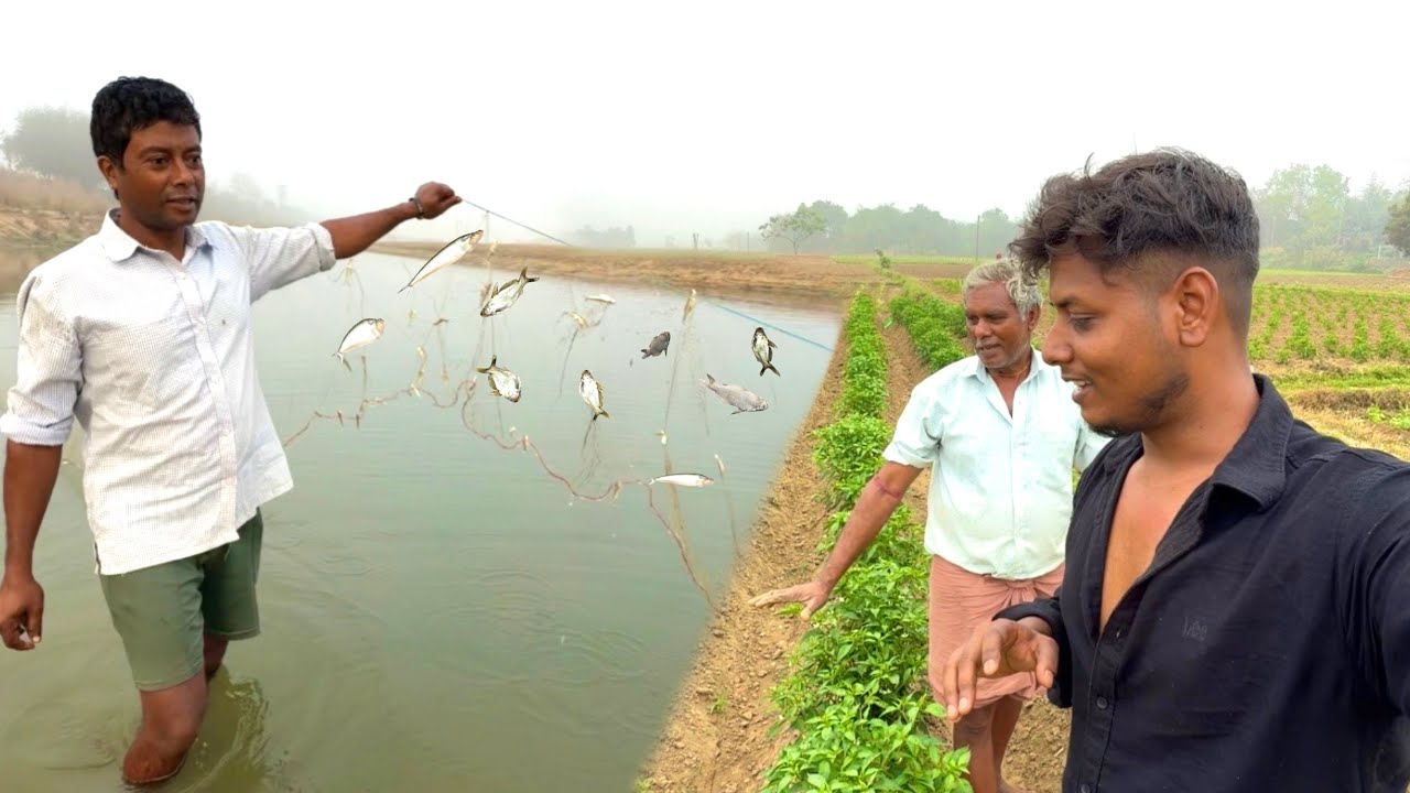সকালে নদীতে জালে অনেক মাছ পেলাম, আর মাঠে সবুজ ফসল—গ্রামবাংলার সুন্দর সকাল। #villagelifevlog