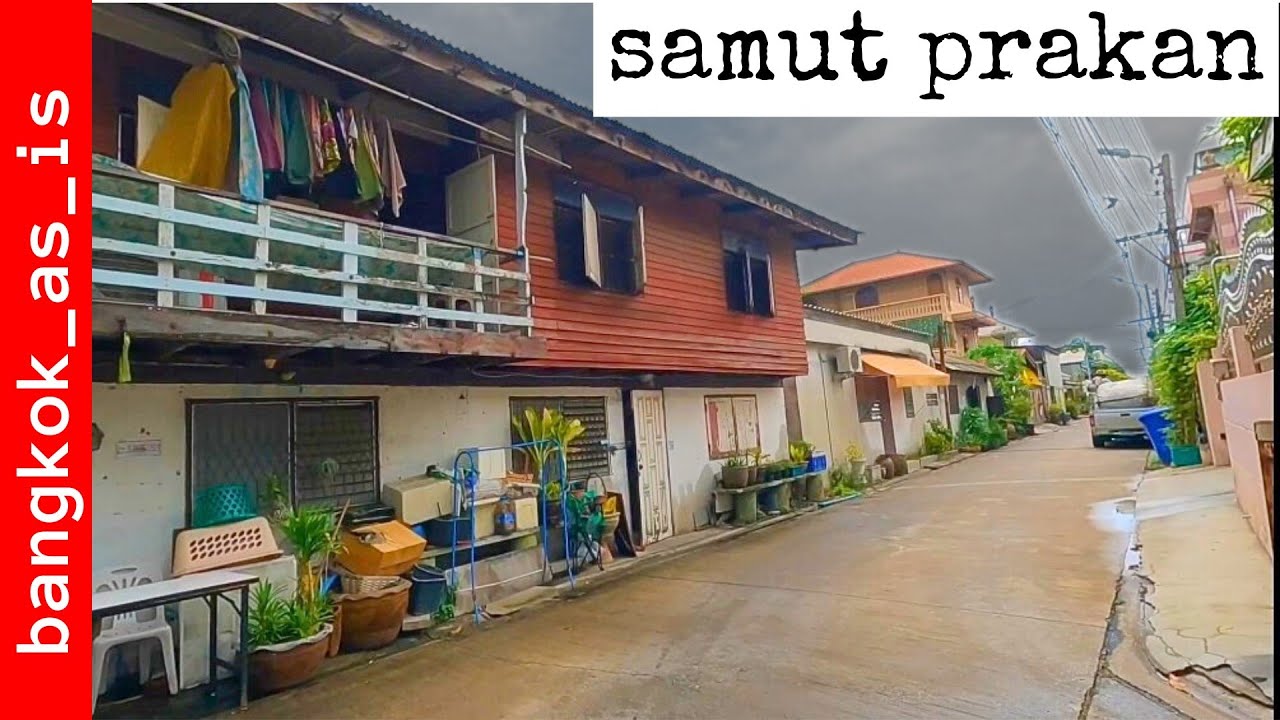 samut prakan day walk - sai luat 10 - 2024