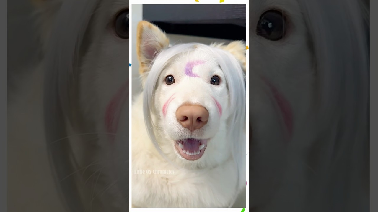 Sesshomaru Pup: Little Ox&rsquo;s Stunning Cosplay!