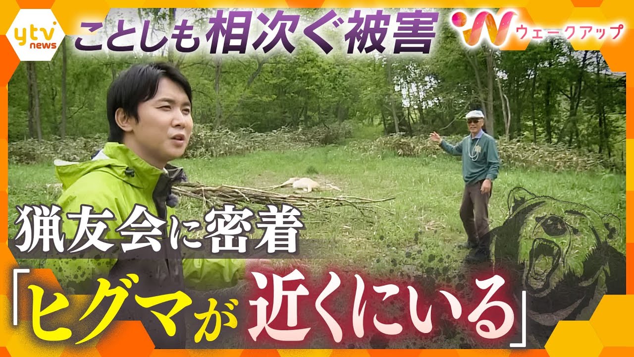 ｢人そのものを食べ物と認識｣クマ被害各地で…活動辞退の猟友会も 対策の現場で今何が起きている？猟友会の活動に密着【ウェークアップ】