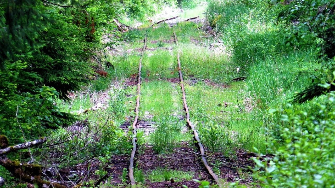 Abandoned Antique Train Cars | Found Deep in the Mountains | Logging Crane Car