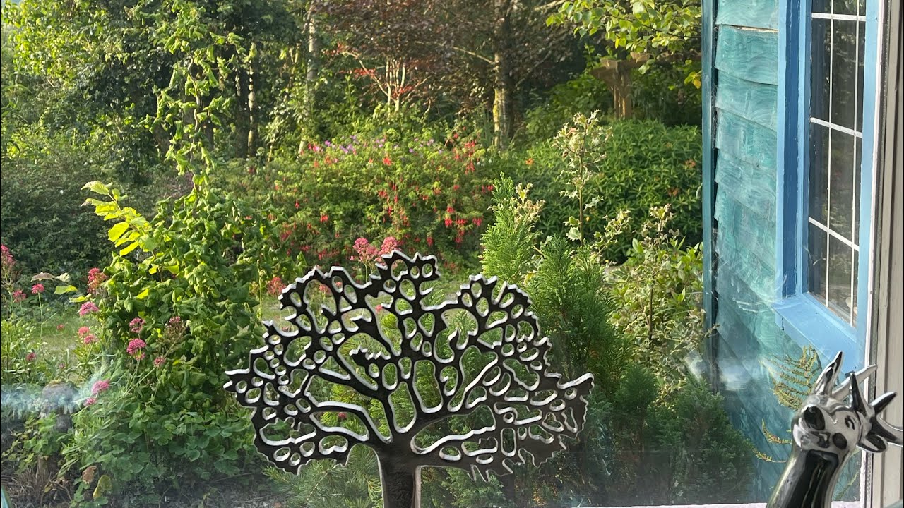 The Cottage Diaries ~ Spuds, Blackcurrants, Raspberries and Lughnasadh!
