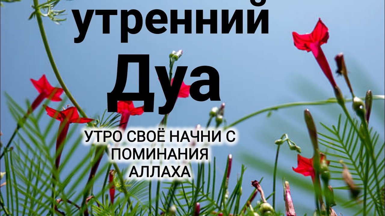УТРЕННИЙ ДУА أذكار الصباح ЗАЩИТИТЬ ВАС ВЕСЬ ДЕНЬ | СЛУШАЙТЕ КАЖДОЕ УТРО! #quran