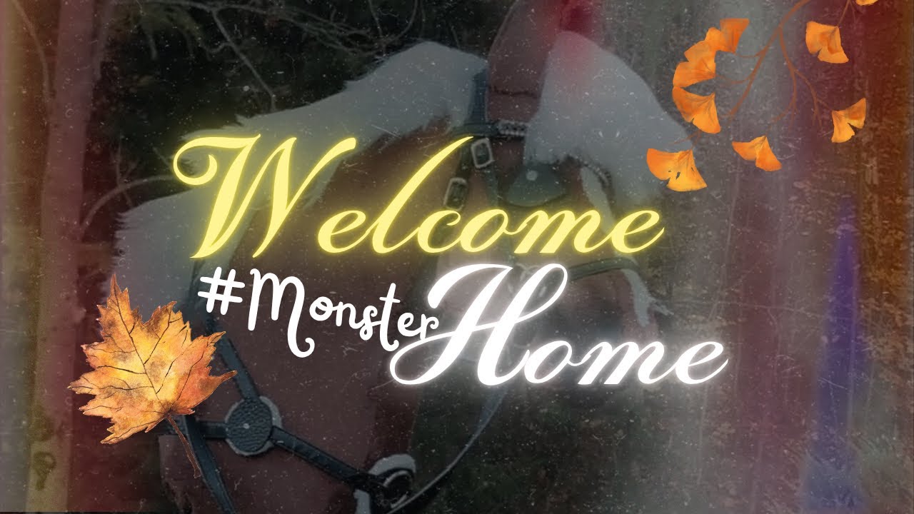 Welcome Home KSW Dellive Monster Boy La Cross-Z