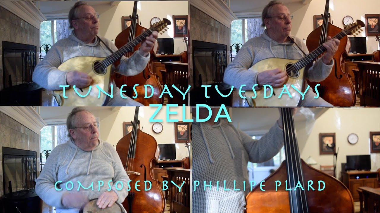 Zelda (Phillippe Plard)