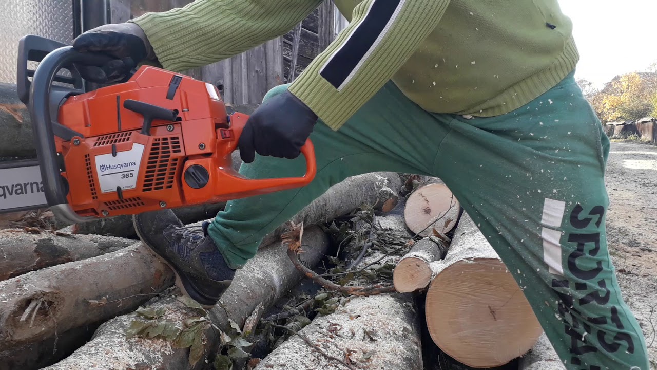 Drujbă  Husqvarna  365 xtorq  la tăiat  lemne  de fag.