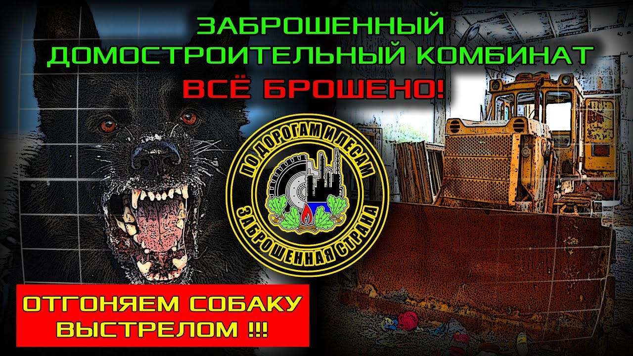 Мы нашли завод с брошенным оборудованием (Заброшенная страна - выпуск 42)