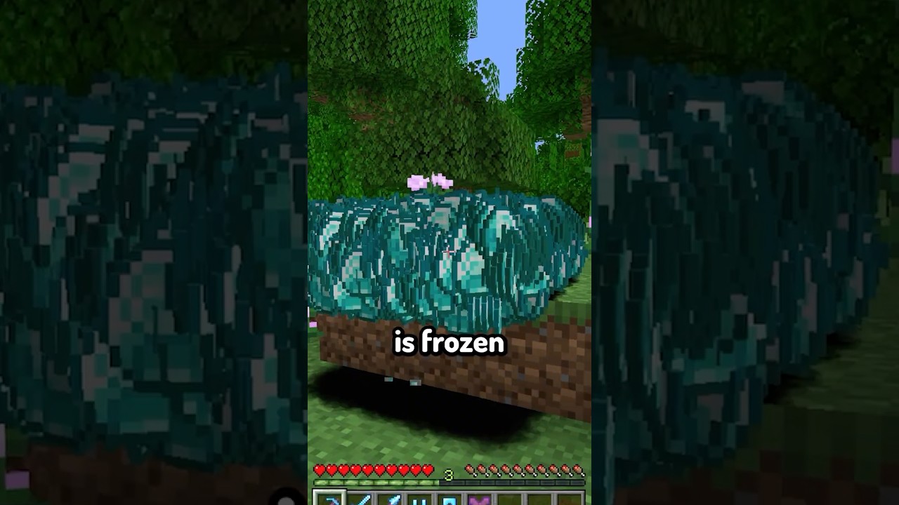 Level 1 MILLION Enchants in Minecraft...