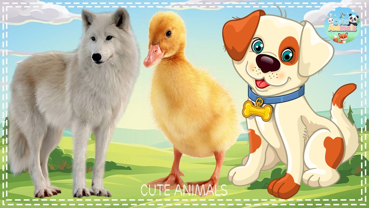 Animal Sounds Around Us: Wolf, Duck, Dog - Animal Sounds