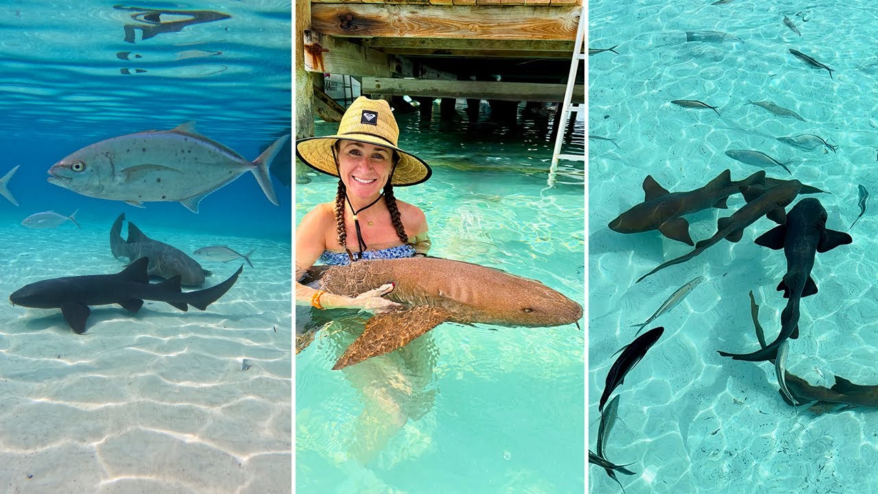 Exuma Compass Cay Marina Exuma, Bahamas