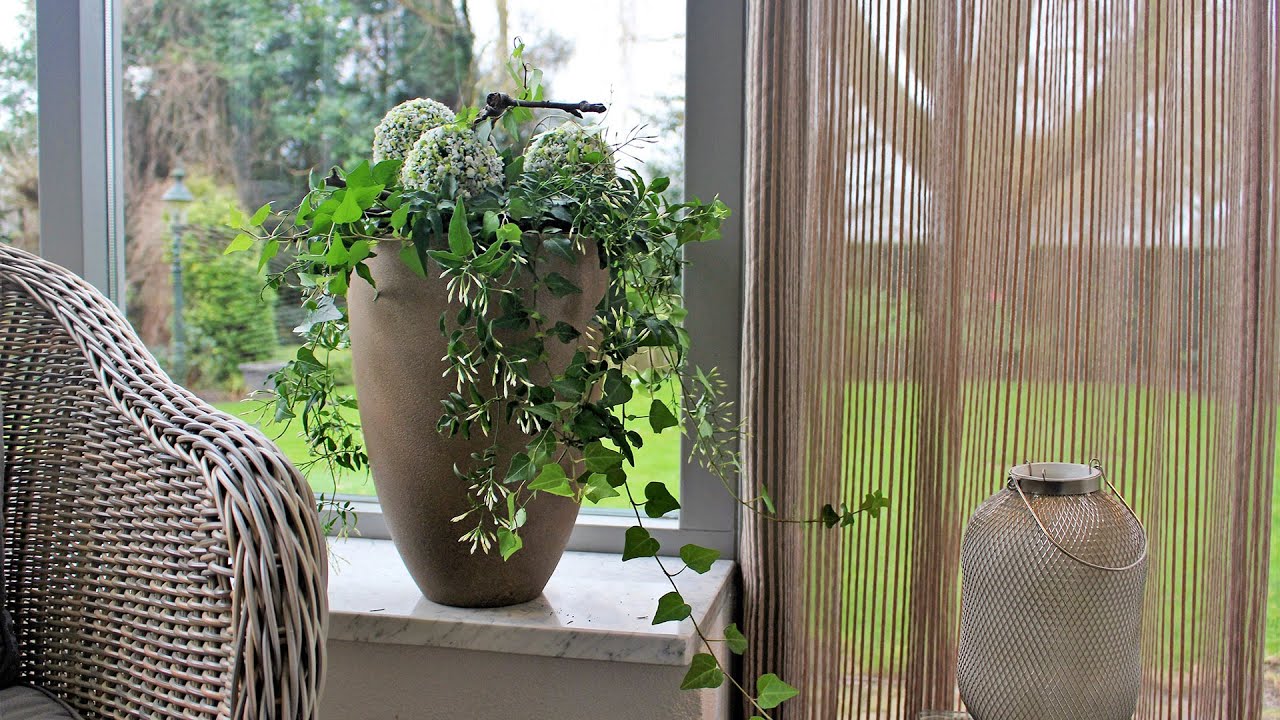 Capi creatie Fris en zuiver