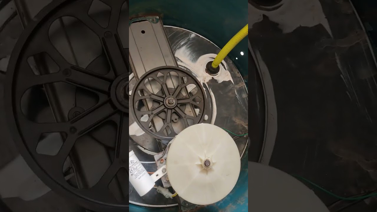 mi lavadora rechina al lavar