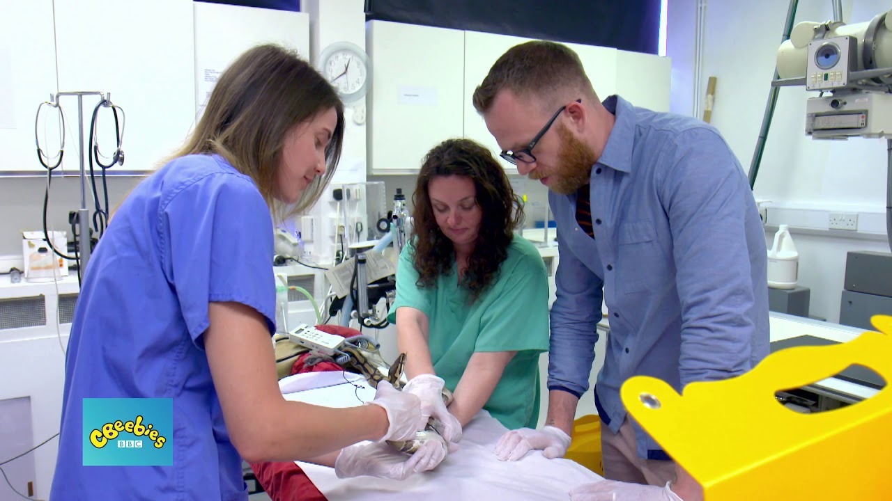 Mi Mascota y Yo - Pit&oacute;n