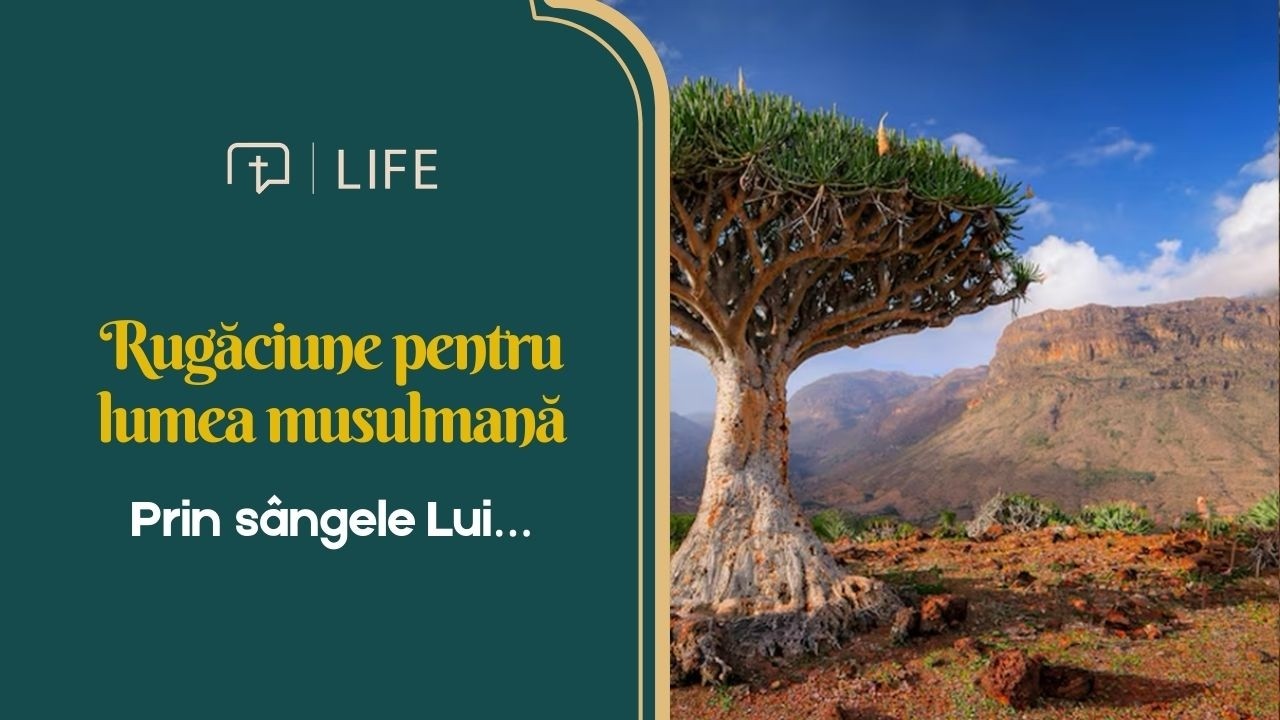 IEMEN – COPACUL SÂNGE DE DRAGON - ZIUA 7 - 24 FEBRUARIE I RUGĂCIUNE PENTRU LUMEA MUSULMANĂ