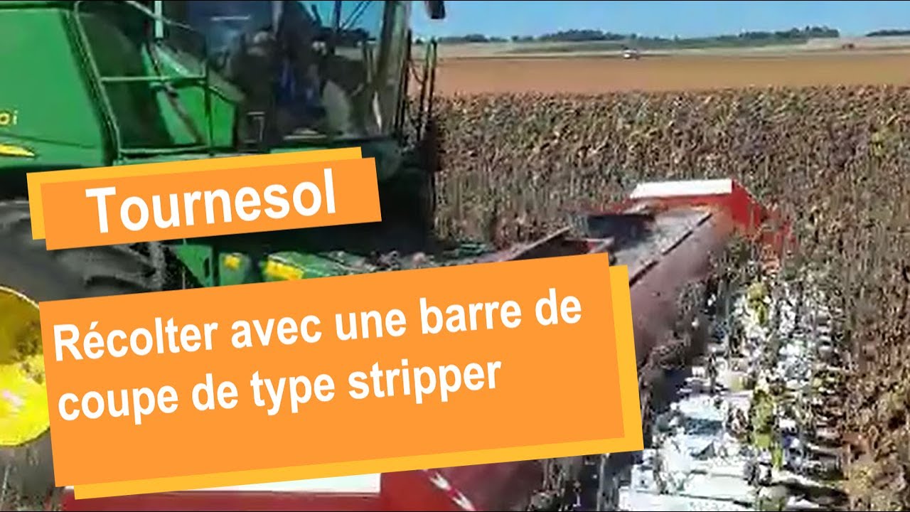 Nouvelle barre de coupe tournesol type stripper pour récolter vite et sans perte